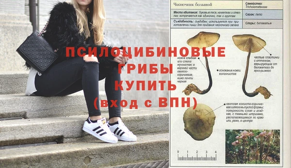 MDMA Гусь-Хрустальный
