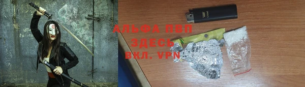 дурь Гусев