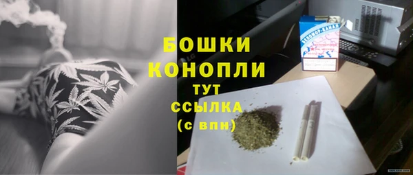 дурь Гусев
