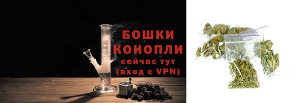 дурь Гусев