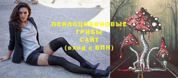 бошки Гусиноозёрск